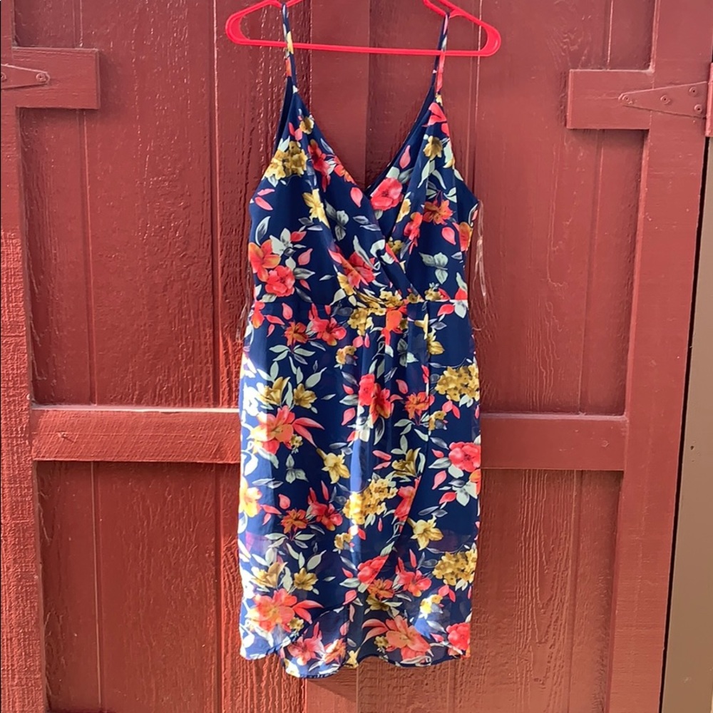 Large Beautiful Dress